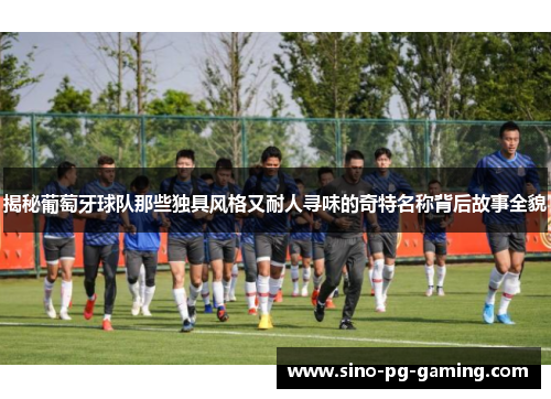 揭秘葡萄牙球队那些独具风格又耐人寻味的奇特名称背后故事全貌