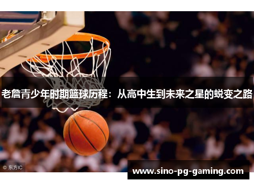 老詹青少年时期篮球历程：从高中生到未来之星的蜕变之路