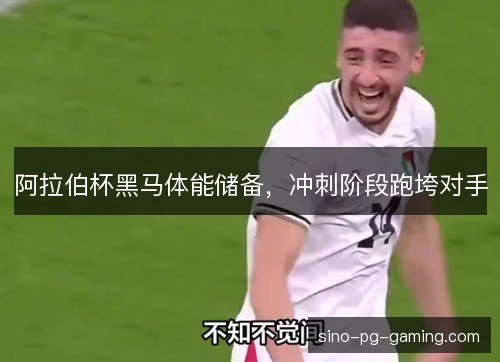 阿拉伯杯黑马体能储备,冲刺阶段跑垮对手 阿拉伯杯黑马体能储备,冲刺阶段跑垮对手